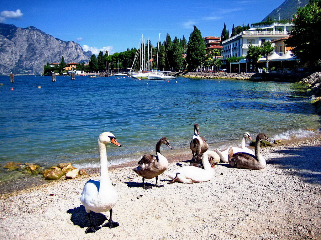 Lago di Garda. Malcesine